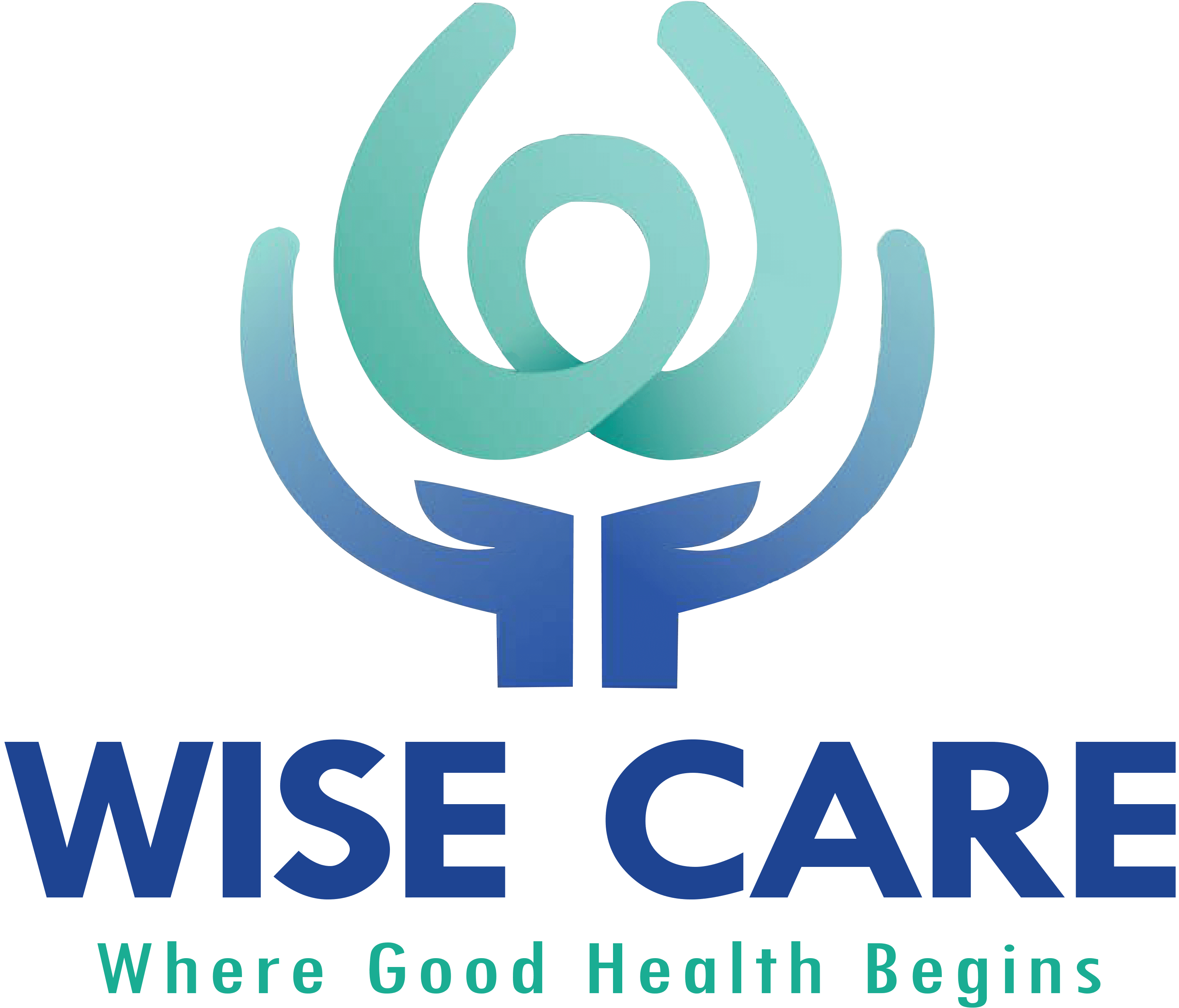 Home Wise Care